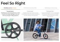 ENGWE P20 Bicicleta eléctrica plegable, motor silencioso de 250W con sensor de par, batería de 36V 9.6A, neumáticos de 20*1.95'', velocidad máxima de 25km/h, alcance de 100km, frenos de disco hidráulicos, Prácticos accesorios gratuitos - Verde - details 2