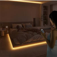 Tira De Luces LED Neón USB DC5V Dimmable Con Control Remoto RF Para Iluminación Decorativa De Cocina Y Habitaciones Luz SMD2835 Impermeable 50000 Horas De Vida - details 6