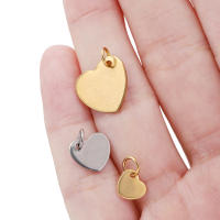 10Pcs Encantos De Acero Inoxidable Con Anillo De Salto Tag De Perro Corazón Redondo Ovalos Blancos Para Fabricación De Joyas DIY - details 1