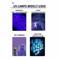 Linterna Frontal De Cabeza Recargable USB Con Luz Blanca Y UV 2 En 1 4 Modos Para Camping Caza Emergencias Luz Violeta - details 2