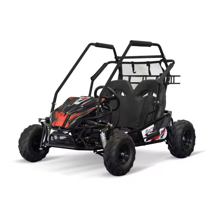ECO BUGGY BIPLAZA 1000W 60V 20AH MOTOR SIN CADENA - 1