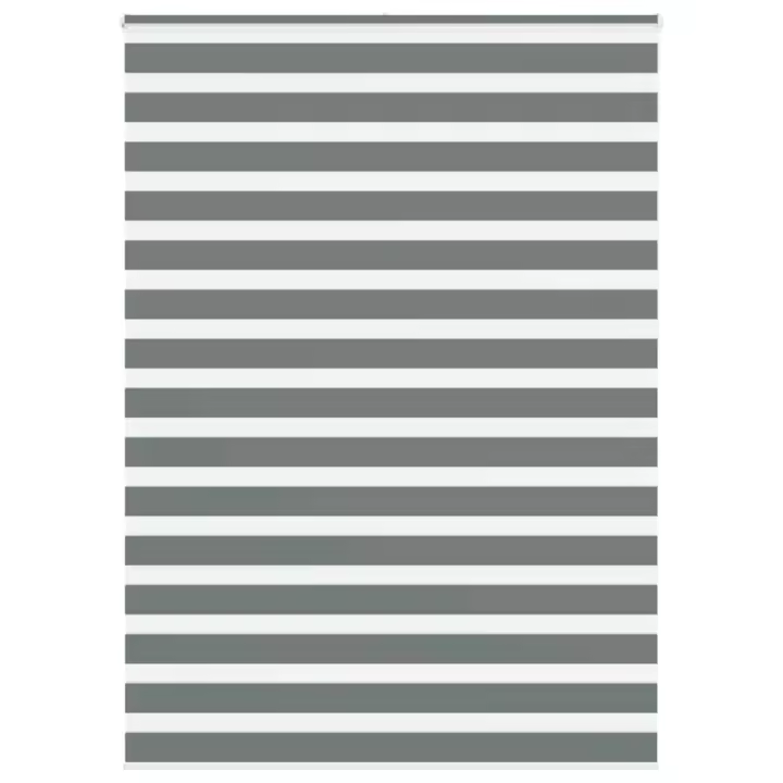 vidaXL Estor cebra gris oscuro tejido ancho 160,9 cm poliéster - 1