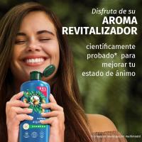 Herbal Essences Champú y mascarilla Reparadora, Con Aceite De Argán Para Pelo Dañado. Hidratación Intensa. De Origen Natural. Sin Siliconas, Vegano, No Testado En Animales 680+500ml - details 2