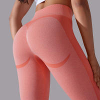 Mallas de Yoga de nailon para mujer, pantalones deportivos de cintura alta, elásticos, ajustados, transpirables, para entrenamiento - details 17