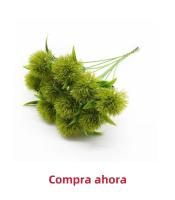 Plantas Artificiales Silken Begonia Para Bodas Decoración De Hogar Y Navidad Regalo DIY De Flores Silken En Vaso Para Ventanas Y Paredes - details 3