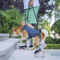 Almohadilla De Soporte Para Perros Con Enjalmas Transpirables Y Acolchadas Para Ancianos Discapacitados Lesiones Articulares Artritis Caminar - details 9