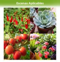 Luz De Cultivo LED De Espectro Completo 150W E27/E14 Para Plantas De Interior Suculentas Verduras Frutas Iluminación De Invernadero 220V - details 11
