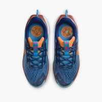 Zapatilla Nike Trail Junior  Pegasus  5 Fv5638 400 Azul - details 2