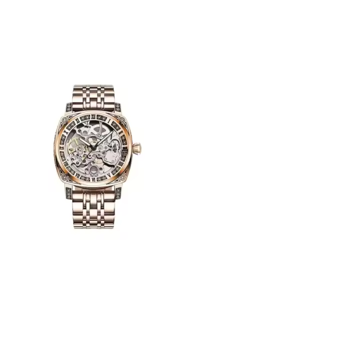 Reloj Mecánico Para Hombre Estilo Business Elegante Y Luminoso Con Display De Números Romanos Resistente Al Agua Acero Aluminio - 1