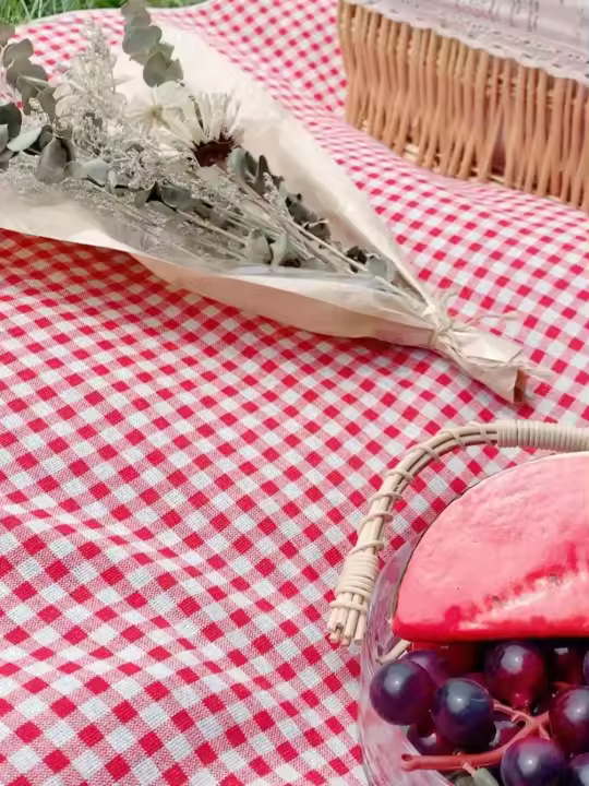 Rde Picnic Outdoor Tapete Plegable Gingham Manta De Picnic Reutilizable Lavable Máquina Estilo Pastoral Poliéster/Celulosa Trenzado - 1
