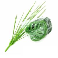 Planta Artificial De Gran Hoja En Forma De Tortuga En Maceta De Bambú Decoración Para Sala De Estar Y Ventanas De Casa Estilo Árbol Para Bodas Y Navidad Uso Externo - details 17