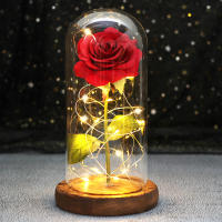 Rosa De Boda Con LED Galaxia Enchanted Con Luz En Domos Regalo De San Valentín Navidad Día De La Madre Belleza Y La Bestia Para Interior - details 10