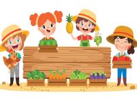 Plantawa Kit de Cultivo Completo para Niños, Huerto Urbano Infantil para Cultivar en Casa, Jardinera para sembrar Semillas, Cuida Tus Plantas, Regalar Español. - details 1