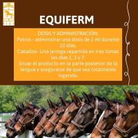 EQUIFERM, sistema digestivo saludable caballos, de Laboratorios Pino jeringa de 60 ml. - details 1
