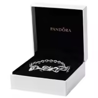 Pulsera de plata esterlina en T de anudado, 6.3 pulgadas, con caja de regalo, No es una piedra preciosa,Incluye Caja Original - details 0