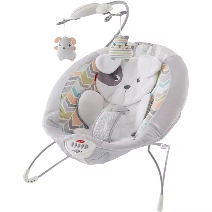 Hamaca deluxe Sweet Snugapuppy GWD50 FISHER-PRICE - 1