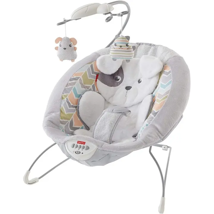 Hamaca deluxe Sweet Snugapuppy GWD50 FISHER-PRICE - 1