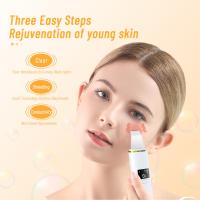 Ultrasónico Máquina Peladora Palear Espinillas Belleza Iones Negativos - details 2