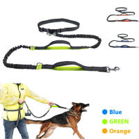 Correa Reflectante Para Perro De Corrida Con Cinturón De Soporte Elástico Y Anillo D Metálico Para Libertad De Manos Manguera De Agarre Para Todas Las Estaciones - details 6