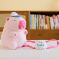 Muñeco De Peluche Capybara De 23 Cm/9.05 Pulgadas Anime Suave Juguete De Peluche Animal Regalo Perfecto Para Cumpleaños De Niños Suministro De Fiesta - details 10