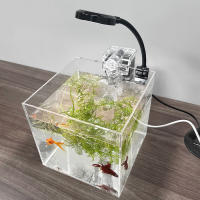 Acuario Ecológico De Acrílico Transparente Para Escritorio De Oficina Pequeño Tanque De Agua Con Hierba Para Camarones Y Tortugas - details 5