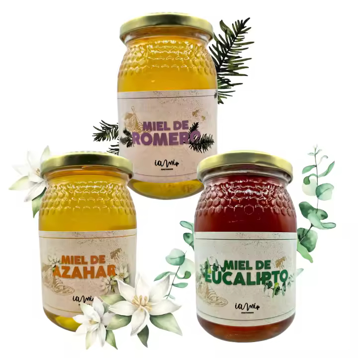Miel Cruda 100% Pura - Tarro Cristal 500 gr - Miel de Romero - Miel de Eucalipto - Miel de Azahar - Pack Degustacion - Miel de la Sierra de Espadan - Miel Artesanal - Miel Española - 1