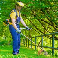 Nueva Línea De Reemplazo Para Trimmer De Jardín 1.6mm X 100m Cuerda De Nylon Para Electrónica De Poda De Grama Y Trimmer - details 5