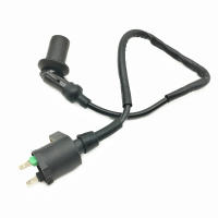 Sistema De Bobina De Encendido Para Motocicleta GY6 50 60 80 100 125 150CC Para ATV Quad Pit Bike Scooter Moped Motocross 12V - details 2