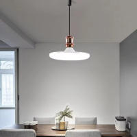 Lámpara De Techo LED 6500K 15W E27 Base Ahorro De Energía Para Garage Y Hogar Iluminación Interior Dispositivo No Inteligente 220V - details 1