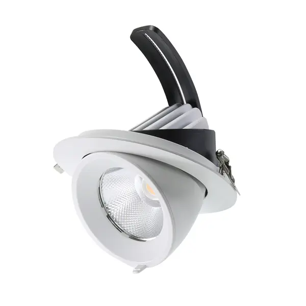 IluminaShop - Foco Downlight LED Basculante Cobfix Angle 30W - 1