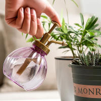 Botella De Rociador De 350ML Para Riego De Plantas Y Suculentas Herramienta Small Garden Metálica Para Jardín Y Suministros - details 4