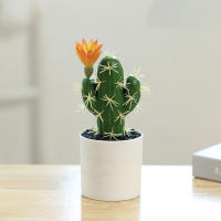 Cactus Artificial Con Flores Pequeño Plantas En Maceta De Plástico Para Decoración De Escritorio Hogar Y Habitaciones Estilo BONSAI - details 8