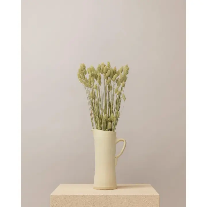 Phalaris seco natural premium - 1