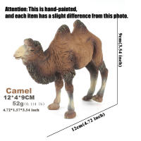 Figura De Acción De Animal De Granja Miniatura De Plástico Modelo De Caballo Simulación Juguete Para Niños Y Coleccionistas - details 5