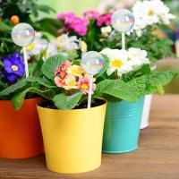 Bulbos De Rociado Automático Para Plantas Vidrio Rainbow Gradient Color Transparente Herramienta De Riego De Maceta Self Watering - details 12