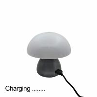Lámpara De Mesa LED En Forma De Hongo Cargable Con Toque Para Decoración De Habitación Hotel Bar Café Estilo Nórdico Creativo - details 3