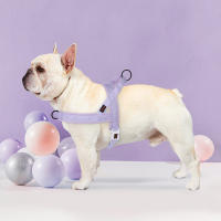 Harnés Suave Para Perro Sin Arrastre De Nylon Ajustable Para Pequeños Medianos Y Grandes Incluye Chihuahua Pug Harnés De Mascota Con Colchón - details 13