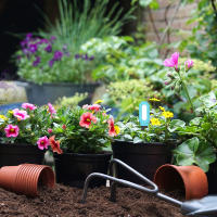 Haozee Medidor De Humedad Y Temperatura Del Suelo Inteligente Bluetooth Tuya Para Jardín Automatización Riego Detector De Clima - details 8