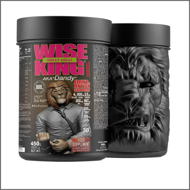 Wiseking II 450 gr Joint Support ZOOMAD LABS - 1