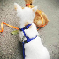 Correa Y Collar De Nylon Ajustable Para Gatos Y Perros Con Tracción Halter Para Mascotas Productos Para Gatos Y Perros - details 5