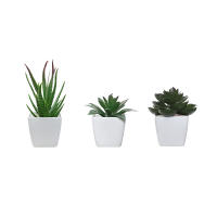 Set De 3 Plantas Miniatura En Macetas Simuladas Para Decoración De Hogares Restaurante Mesas Ventanas Y Estantes Material Plástico Estilo Bonsái - details 30