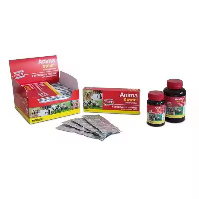 ANIMA STRATH 240cp - 1
