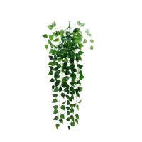 Guirnalda De Hojas De Planta Artificial Vine Colgante Para Decoración De Jardín Y Pared De Hogar Material De Rattan - details 3