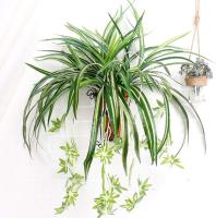 HORO.ES Planta de araña 3PCS artificial de imitación de clorophytum Comosum para decoración del hogar, hotel, seda, 5 ramas, 35 hojas, 12 flores, 60 cm de largo colgante - details 1