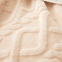 Manta De Terciopelo Coral Suelta 1pc Ligera Y Multifuncional Para Cubierta De Cama Sala De Estar Sofá Manta Para Siesta - details 4