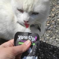 Yowup! Yogurt Natural Para Gatos Pack 3 Uds 85 Gr - details 0
