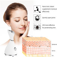 Máquina De Humo Iónico Nano Para Rostro Para Mujeres Belleza Facial Españo Electrónico Profesional Spa Mist Limpieza Profunda - details 4
