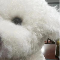 Muñeco De Peluche Realista Con Cabello Curvo Para Niños Y Bebés Juguetes De Animales Suaves Decoración De Habitación Regalo De Cumpleaños De Alta Calidad - details 3