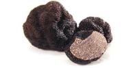 ✅Sustrato Trufa Negra HM8 70L de AGRINATURA, especial para carrasca trufera gracias a sus mezclas de alta calidad y su aporte de hongos beneficiosos para la aplicación de cultivos micorrizados. - details 0