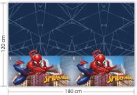 Zirizon -Vajilla de Cartón para Fiesta Spider Man - 6 Invitados con platos de cartón, vasos , servilletas y mantel,  vajilla compostables, biodegradables,vajilla de fiesta de cumpleaños - details 4